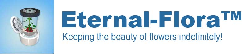 Eternal-Flora™