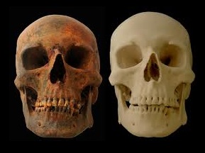 Skull 3D Printing Example