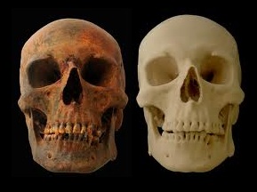 Skull 3D Printing Example Skull 3D Printing Example